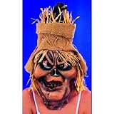 Scarecrow with Raven