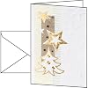 Sigel DS376 Weihnachts-Karten (inkl. Umschl�ge), White Christmas, Gold-/Blindpr�gung, Edelkarton (Ink/Laser/Copy), 185 g, A6 (A5), 10+10 ST
