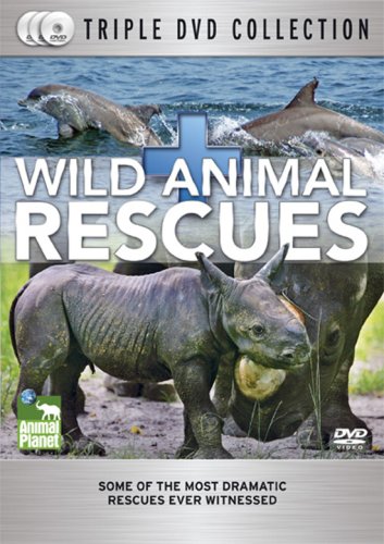 WILD ANIMAL RESCUES