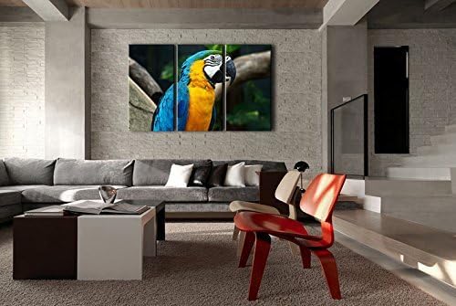 Fashion FreeZone 3 Panel Wall Art Painting Amazing Colourful Parrot Pictures Prints On Canvas Animal The Picture Decor Oil For Home Modern Decoration Print