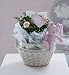 Baby Girl Rose Bush Gift