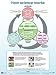 Understanding Science Flowchart Poster