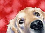 Labrador Retriever Dog Art Print Signed by Artist DJ Rogers