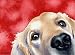Labrador Retriever Dog Art Print Signed by Artist DJ Rogers