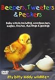 Beepers Tweeters & Peckers