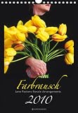 Produkt-Bild: Farbrausch 2010