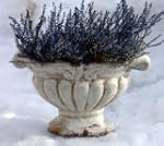 Jardiniere Schale, Terrakotta, cremef...