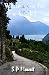 Wanna Go For a Walk?