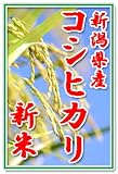 �ڿ���20ǯ����̵���ơ����դ���Ȥο��㸩�������ҥ���100�� ͭ�����������㸺�����������ҥ���10kg�����äĤ��ʤ�����⤸��