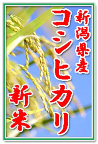 【新米21年産　無洗米】田辺さん家の新潟県産コシヒカリ100％ 有機質肥料・低減農薬　コシヒカリ10kg　くっつかないしゃもじ付