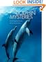 Dolphin Mysteries: Unlocking the Secrets of Communication