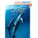 Dolphin Mysteries: Unlocking the Secrets of Communication