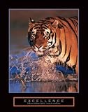 Excellence - Bengal Tiger, Motivational Poster