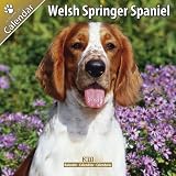 Kalender 2011 Welsh Springer Spaniel