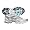 Women's Saucony Pro Grid Triumph 6 Running Shoe - White/Blue (8)