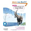 Foundation ActionScript 3.0 Image Effects (Foundations)