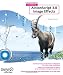 Foundation ActionScript 3.0 Image Effects (Foundations)