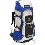 Jansport Whittaker LT Backpack
