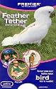 Feather Teather Bird Harness, Size: Petite, Color: Black