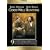 Good Will Hunting (Miramax Collector's Series)