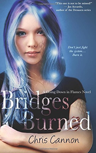 bridges burned a going down in flames novel