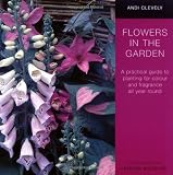 Flowers in the Garden: A Practical Guide to Planting for Colour and Fragrance All Year Round