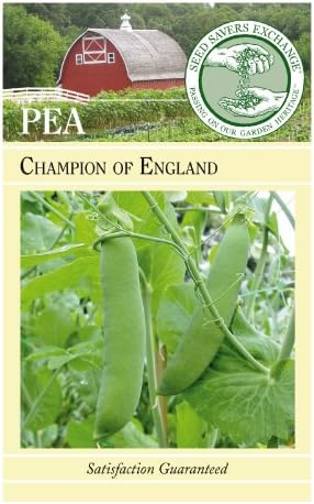 Seed Savers Exchange 1524 Open-pollinated Pea Seed, Champion of England, 50 Seed Packet