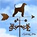 AFGHAN HOUND Dog Weathervane