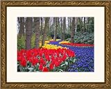 Picture Frame Gold w/ Compo .. 1.25'' wide