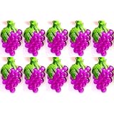 Buy Grapes String Light for Patio or Party by Primal Light
