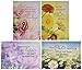 Sunny Wishes - KJV Scripture Greeting Cards - Boxed - Get Well