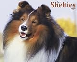 Just Shelties 2009 Calendar (Just)