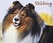 Just Shelties 2009 Calendar (Just)