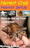 Hermit Crab Habitat Setup : Hermit Crab Care and Habitat Set-up Hermit Crab Habitat Setup : Hermit Crab Care and Habitat Set-up