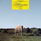 Delfinarium