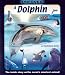 Uncover a Dolphin (Uncover Books)