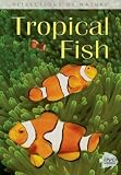 Tropical Fish