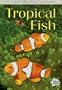 Tropical Fish