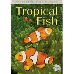 Tropical Fish