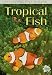 51Nsq 13OFL. SL75  Freshwater Tropical Fish Aquarium Hobbyists Add Blue Bee Shrimp