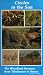 Circles in the Sun: The Woodland Savanna from Tshokwane to Satara