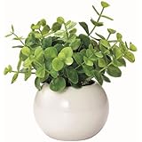 ���i�̏ڍ�