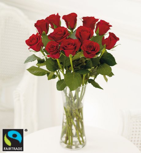 Fairtrade Dozen Red Rose Bouquet