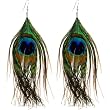 Peacock Times Feather Earrings