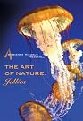 The Art of...