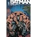Batman Knightfall, Tome 1 : La Chute