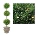 5' Pre-Lit Green Tinsel Triple Ball Potted Topiary Tree - Green Lights
