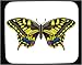 Decorated Mouse Pad with butterfly, insect, world, old, swallowtail