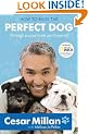 How to Raise the Perfect Dog: Through Puppyhood and Beyond