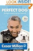 How to Raise the Perfect Dog: Through Puppyhood and Beyond